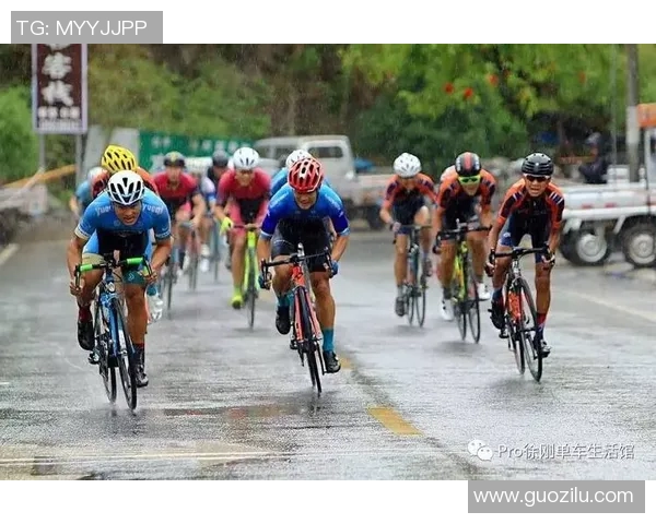 雨战胜率分析及其对战术调整的影响研究与探讨