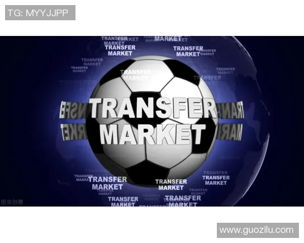 葡超球队最新转会动态分析及球员交易趋势解读