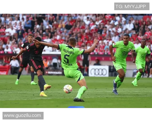 霍芬海姆力克沃尔夫斯堡,主场逆袭引燃新赛季希望